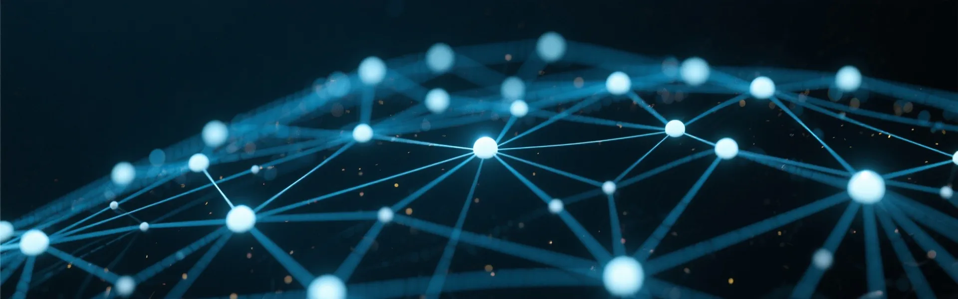 Data Network Background